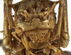 CollectionObject 1529682; c91a7663-b2a2-4fb0-9115-83dd7704a21e: female, frontal view (holotype). (CollectionObject).