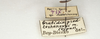 CollectionObject 1558051; 110c9e8b-e841-491f-91a0-eda43ffbf9f8: copyright, St. Petersburg. holotype data, data labels. (CollectionObject).