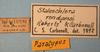 CollectionObject 1514437; MLP0058/5-7, 38822145-5f9c-447c-a4a8-d39760f93478: labels (paratype). (CollectionObject).