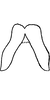 Connective on Arboridia (Arboridia) cardinalis (Distant, 1918): Connective. (Observation).