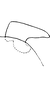 Pygofer appendages on Empoascanara (Empoascanara) hongkongica Dworakowska, 1971: Pygofer dorsal appendage. (Observation).