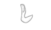 Tebacris nigrisoma Cigliano, 1989: Fig. 202. epiphallus, lateral view. (Otu).