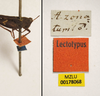 labels (holotype of Acridium zonatum). Depicts CollectionObject 1596016; 8e9f9ece-755c-4345-a8a6-0f8c7125ccf3, MZLU178068, a CollectionObject.