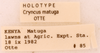 CollectionObject 1522770; c2b696b4-d68e-4385-8ea0-cee8dd5df7ae: Male, labels (holotype). (CollectionObject).