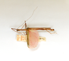 CollectionObject 1559694; 5cccef37-65d5-4826-a9eb-45b87c2c986e: copyright ETHZ. male, lateral view of synonym Marmessoidea unicolor (lectotype). (CollectionObject).