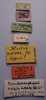 CollectionObject 1506825; 9145ed3a-e759-4d87-a0cf-d2a8bbb6f183: labels (lectotype). (CollectionObject).