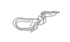 Zodiacris rubidipennis rubidipennis Descamps, 1980: Fig. 97. endophallus, lateral view. (Otu).