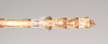 CollectionObject 1576835; NHMUK(SF IMPORT DUPLICATE) 844945, 541fb8a5-fc52-4df2-81cc-0c45a4124a2f: copyright Natural History Museum, London. male of synonym Haplopus ligia: end of abdomen, dorsal view (lectotype). (CollectionObject).
