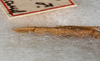 CollectionObject 1582349; 632a4225-9747-4e09-b46b-93d5a6b51e39: copyright USNM, Washington. female: end of abdomen, dorsal view (paralectotype). (CollectionObject).
