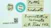 CollectionObject 1587006; 19f5b3ff-fa74-4585-af29-16f70425de9c, NHMUK010924801: labels (syntype). (CollectionObject).