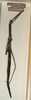 CollectionObject 1557865; NMW 780, fe89e5a8-ccc0-4a8b-923e-40f33bfad8bd: copyright NMW, Vienna. female (holotype). (CollectionObject).