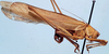 Gregoryella dimorpha Uvarov, 1925: male, lateral view (paratype). (Otu).