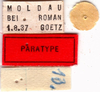 CollectionObject 1505221; 438a46c3-14b4-43ff-886a-bc303de29f9c: labels (paratype). (CollectionObject).
