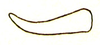 Mitricephala dohrni (Bolívar, 1905): Fig. 1 D. male cercus. (Otu).