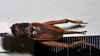 CollectionObject 1520734; 4f9ae50a-53cd-44ee-a8fe-4d092aad43df: copyright Natural History Museum, London. female, dorsal view of (syntype of Gryllus septentrionalis). (CollectionObject).