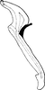 Aedeagus, lateral view on Empoasca (Empoasca) confusania Ghauri, 1979: Aedeagus, lateral view. (Observation).
