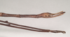 CollectionObject 1558589; a45cfd83-a497-4a20-9695-2ba15312282d: copyright Natural History Museum, London. female: end of abdomen, lateral view (paratype). (CollectionObject).