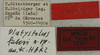 CollectionObject 1506654; a5296b48-1652-4983-a14d-8aa891826dbc: labels (paratype). (CollectionObject).