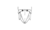 Roppacris griseipes Amédégnato & Descamps, 1979: Fig. 89. male abdomen tip, dorsal view. (Otu).