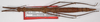 Manduria halconensis Hennemann & Conle, 1997: copyright F. Hennemann. female (paratype). (Otu).