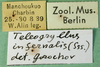 CollectionObject 1501918; c786b38c-ab7a-4011-a0e3-78b242ef43f4: labels. (CollectionObject).