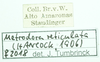 CollectionObject 1586360; 88af12d2-6f6a-4932-9176-737d84ce7d30: labels. (CollectionObject).