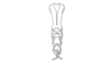 Balachowskyacris olivacea (Bruner, 1908): Fig. 283. endophallus, dorsal view. (Otu).