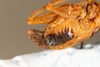 CollectionObject 1585447; 900dfe2b-4398-4e35-9616-7b9b0eb0b9b0: male, posterior view (syntype). (CollectionObject).