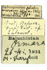 CollectionObject 1593051; 6bf2afeb-c577-49f9-925a-c9e35138ea86: labels (paratype). (CollectionObject).