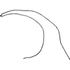 Aedeagus, lateral view on Euscelidius obenbergeri Dlabola, 1957: Aedeagus, lateral view. (Observation).