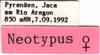 CollectionObject 1543103; 62aa5f2a-bb3b-4239-b59c-42b076b656d2: labels. (CollectionObject).