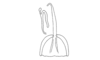 Malezacris hirsuta Amédégnato & Poulain, 1998: Fig. 44. Female internal genitalia. (Otu).