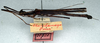 CollectionObject 1561465; NMW 188'', db16042f-c4e5-4169-9428-1f693b9bf49d: copyright NMW, Vienna. male, lateral view (syntype). (CollectionObject).
