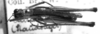 CollectionObject 1532916; 8bb861ef-0d19-4452-9cd5-335f06a8130a: Image Carbonell, C.S. male, dorsal view (syntype of Mastax semicaecus). (CollectionObject).