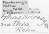 CollectionObject 1525555; a19b0cb4-74f9-496c-a39c-3c395d30074a: labels (lectoallotype). (CollectionObject).