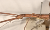 CollectionObject 1561967; 2f2df9c5-b98b-41a8-acca-3402360b8f05: copyright OUMNH. female: head & thorax, lateral view (holotype). (CollectionObject).