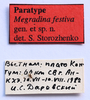 CollectionObject 1587130; cd0141b3-482b-4c36-ad91-57c70ad4b480: labels (paratype). (CollectionObject).