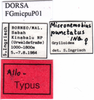 CollectionObject 1590013; 9e0c4322-da10-434b-b457-03e01684358f: labels (allotype). (CollectionObject).