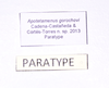 Apotetamenus gorochovi Cadena-Castañeda & Cortés-Torres, 2013: labels (paratype). (Otu).
