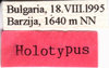 CollectionObject 1543085; 8b460213-6e37-4440-9bbb-c82f66aea8d1: labels (holotype of Vichetia helleri). (CollectionObject).