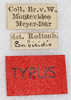 labels (syntype). Depicts CollectionObject 1586730; c0158797-ee4d-4202-9407-7eb1ed46aaad, a CollectionObject.
