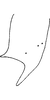 Anal tube processes on Distantasca rokasa (Dworakowska, 1981): Anal tube process. (Observation).