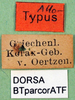 CollectionObject 1502690; 2b6e9033-7072-46ae-8761-d01b72ee789b: labels (syntype). (CollectionObject).