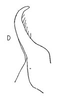Stylus: !! display not done !! on Bahita Oman, 1938: Stylus. (Observation).