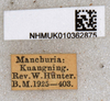 CollectionObject 1579372; 953f7332-6537-4b91-8599-5d8c7ac3a707: labels. (CollectionObject).