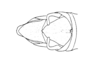 Dichroplus schulzi Bruner, 1906: Fig. 5. male abdomen tip, dorsal view. (Otu).