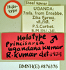 Princisaria ugandana Kumar, 1975: Holotype, male, labels. BMNH(E)#876376. (Otu).