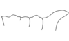 Aptoceras signatus Descamps, 1976: Fig. 34. female, pronotum, lateral view. (Otu).