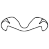 Phaeoparia lineaalba lineaalba (Linnaeus, 1764): Fig. 60H. epiphallus, dorsal view. (Otu).