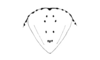 Locheuma brunneri (Scudder, 1875): Fig. 40. male, epiproct. (Otu).